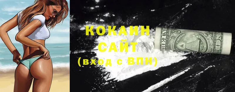 цена наркотик  OMG ССЫЛКА  Cocaine Fish Scale  Новокузнецк 