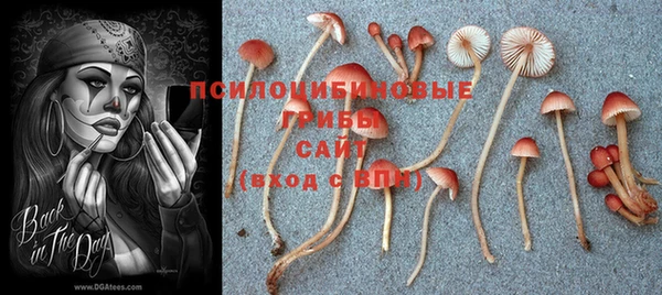 2c-b Михайловка
