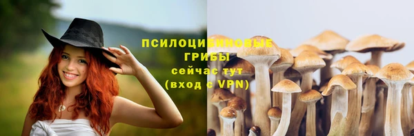 герыч Михайлов