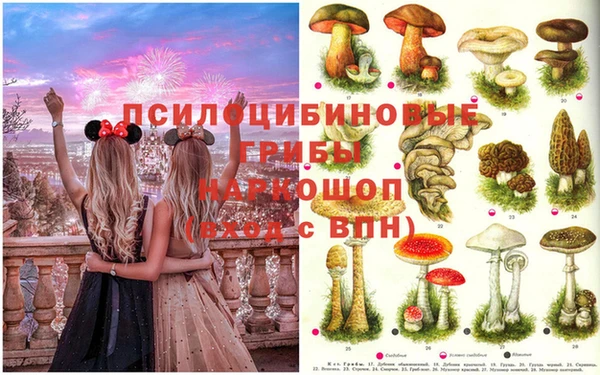 экстази Михайловск