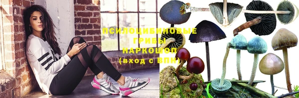2c-b Михайловка