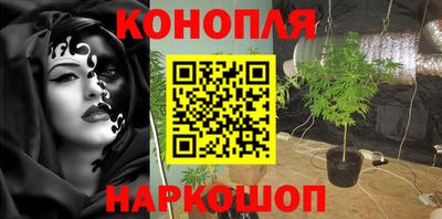 спиды Гусев