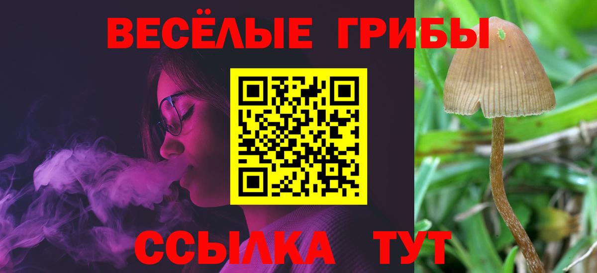 Псилоцибиновые грибы мицелий  как найти   Новокузнецк 